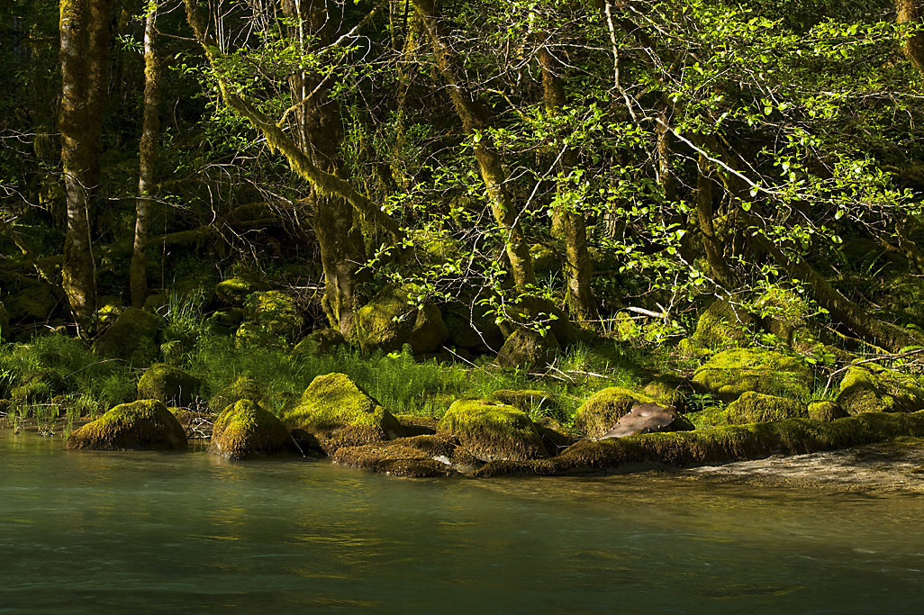 California State Parks