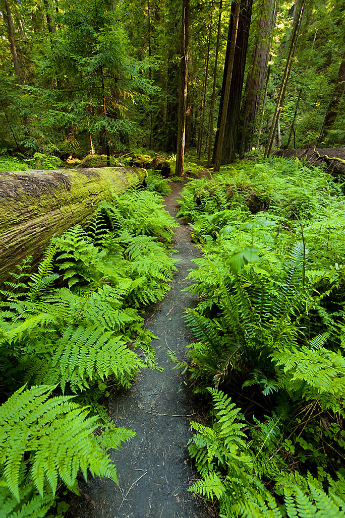 California State Parks