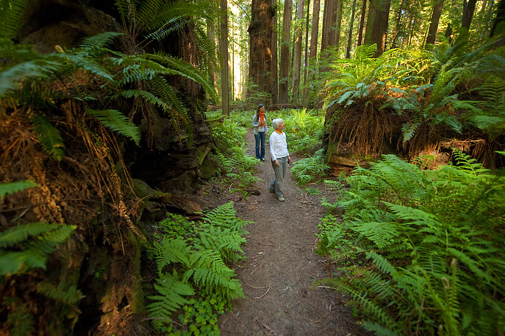 California State Parks