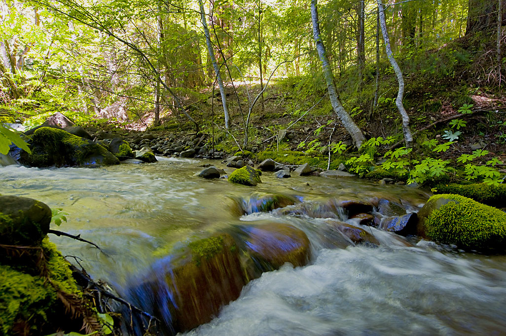 California State Parks