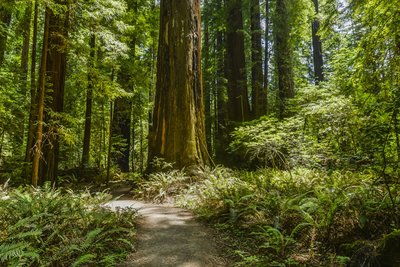 Hamilton Barn Environmental Campground
