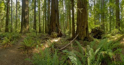 Albee Creek Campground