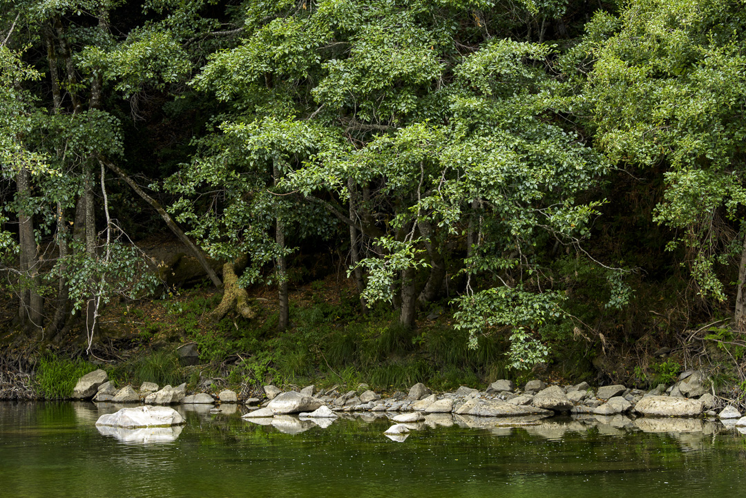 California State Parks
