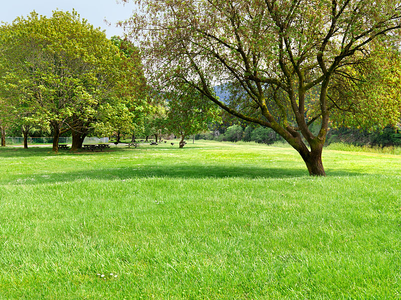 Benbow State Recreation Campground