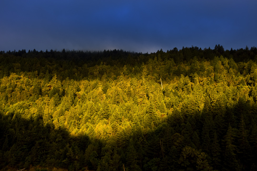 Benbow State Recreation Campground