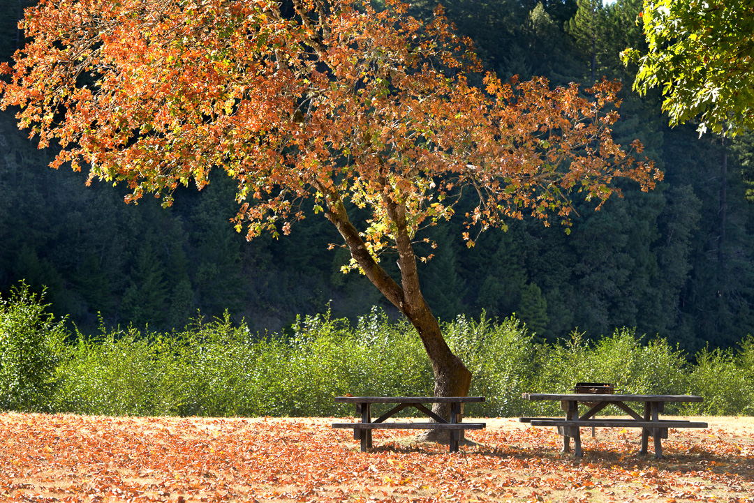 California State Parks