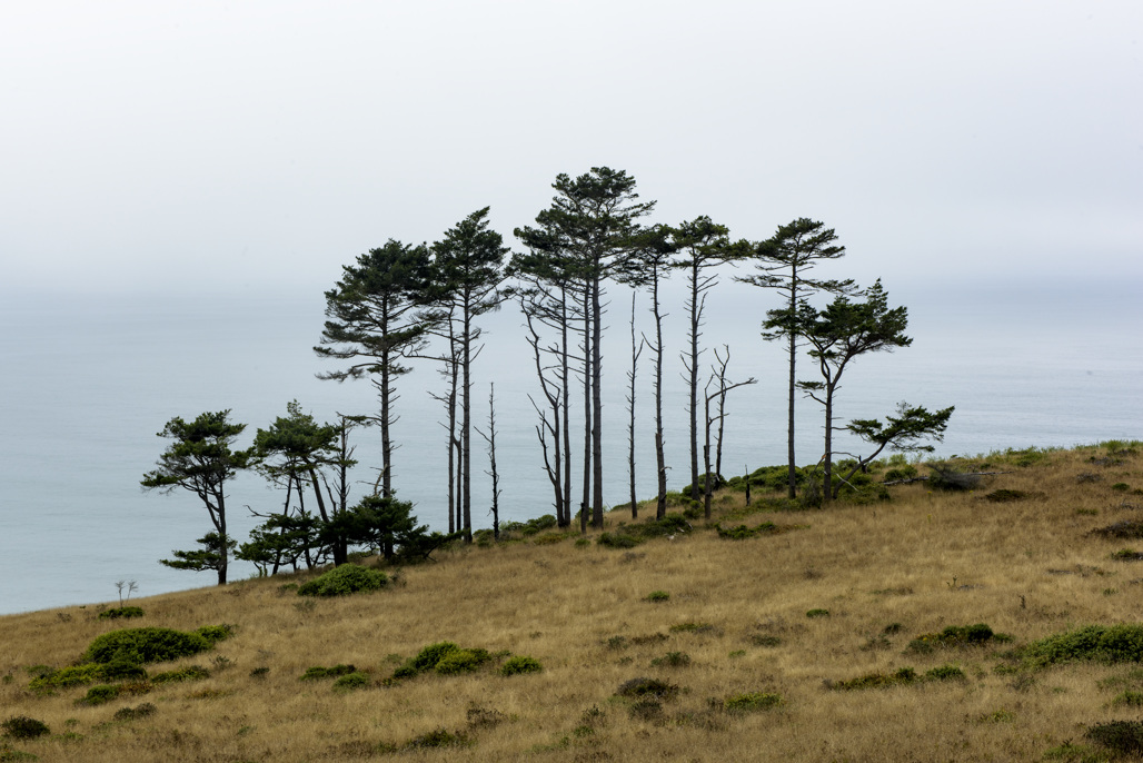 California State Parks