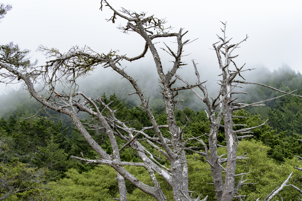 California State Parks