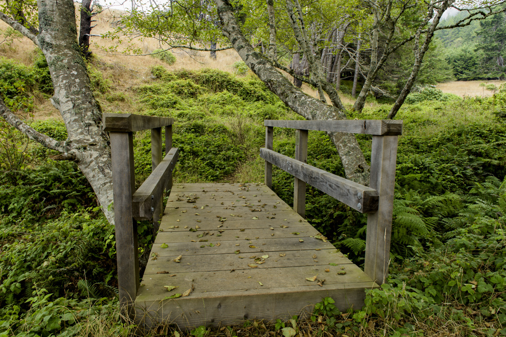 Usal Beach Campground