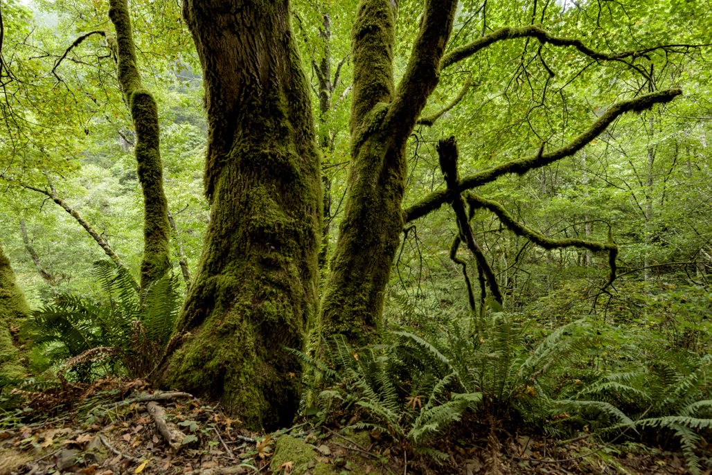 California State Parks