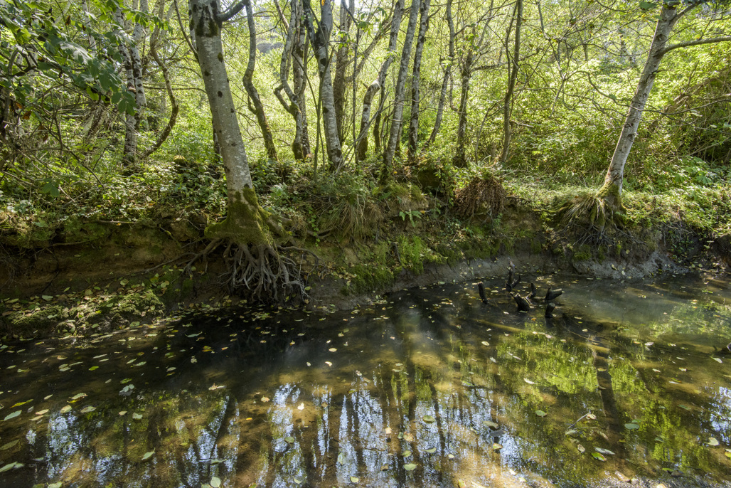 California State Parks
