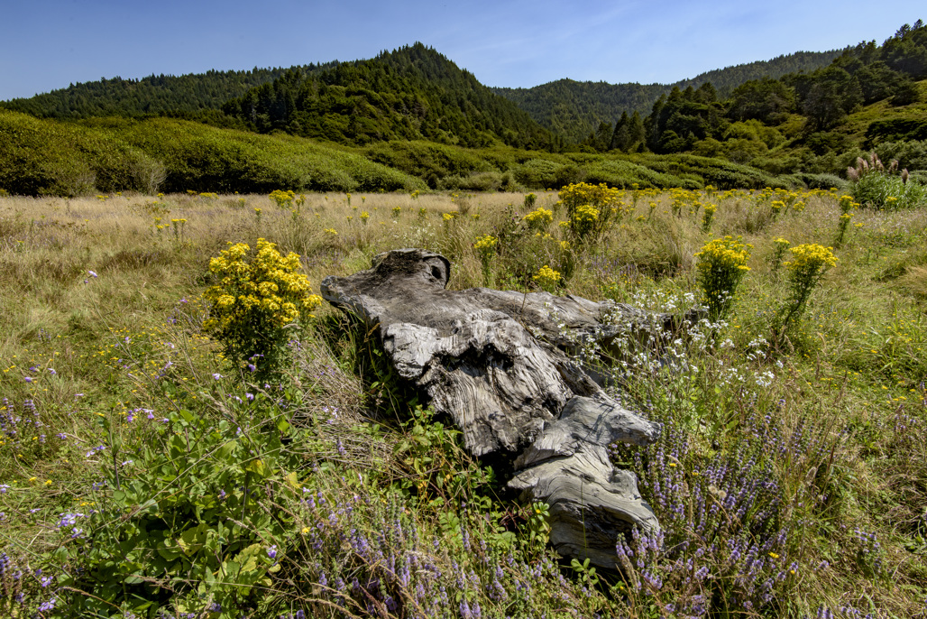 California State Parks