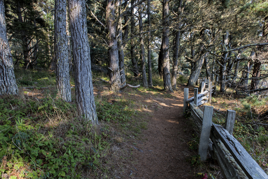 Russian Gulch State Park Campground