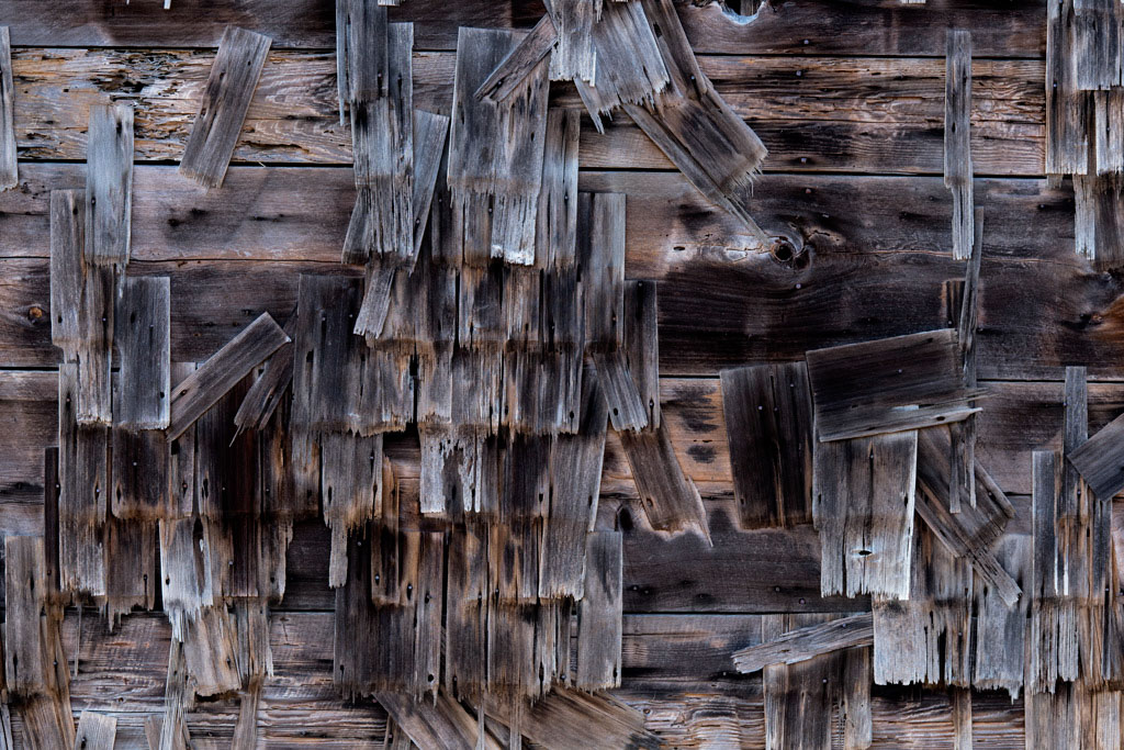 Van Damme State Park Group Campground