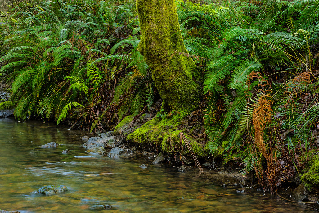 California State Parks