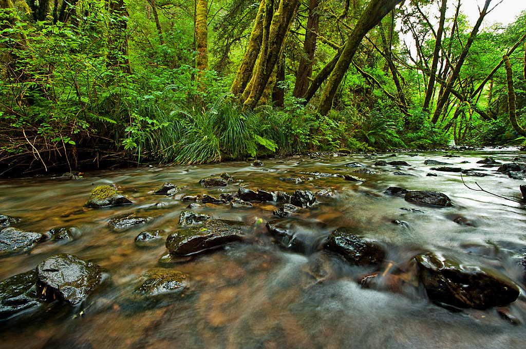 California State Parks