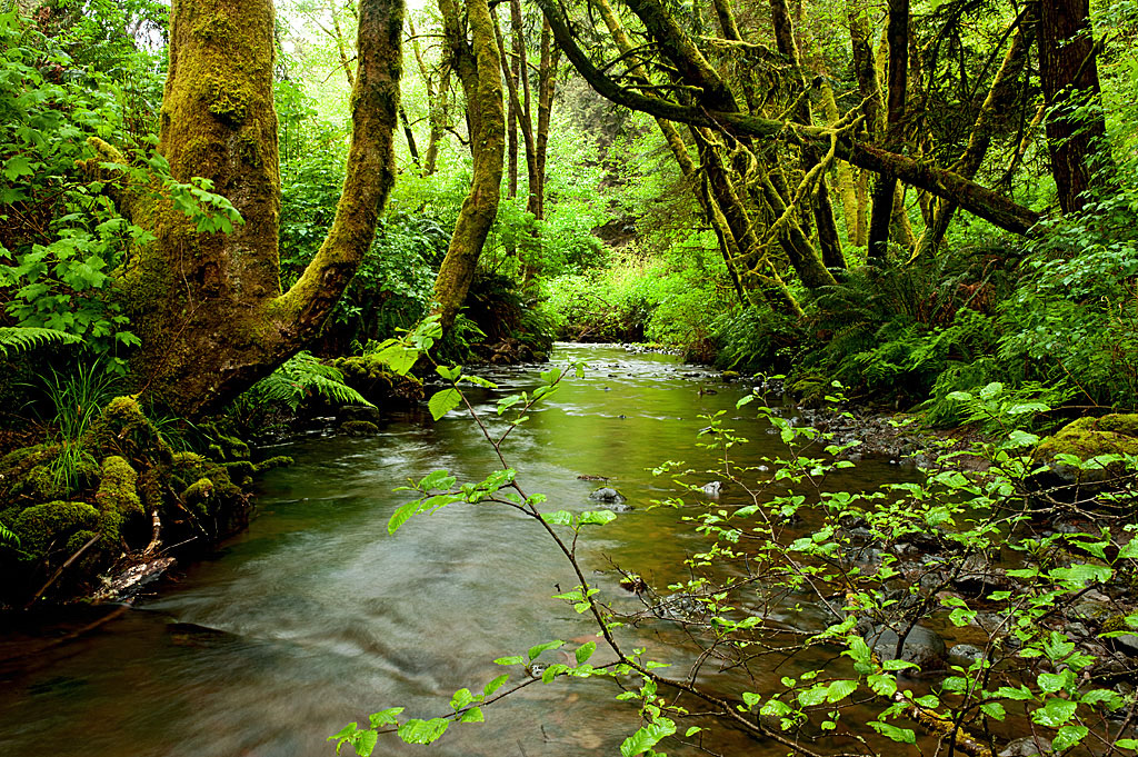 California State Parks