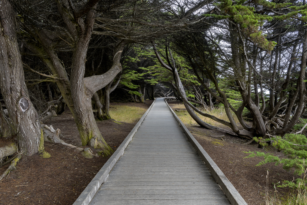 California State Parks