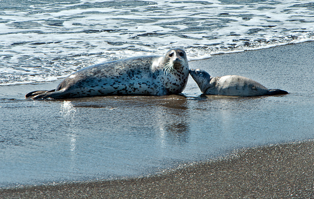 California State Parks