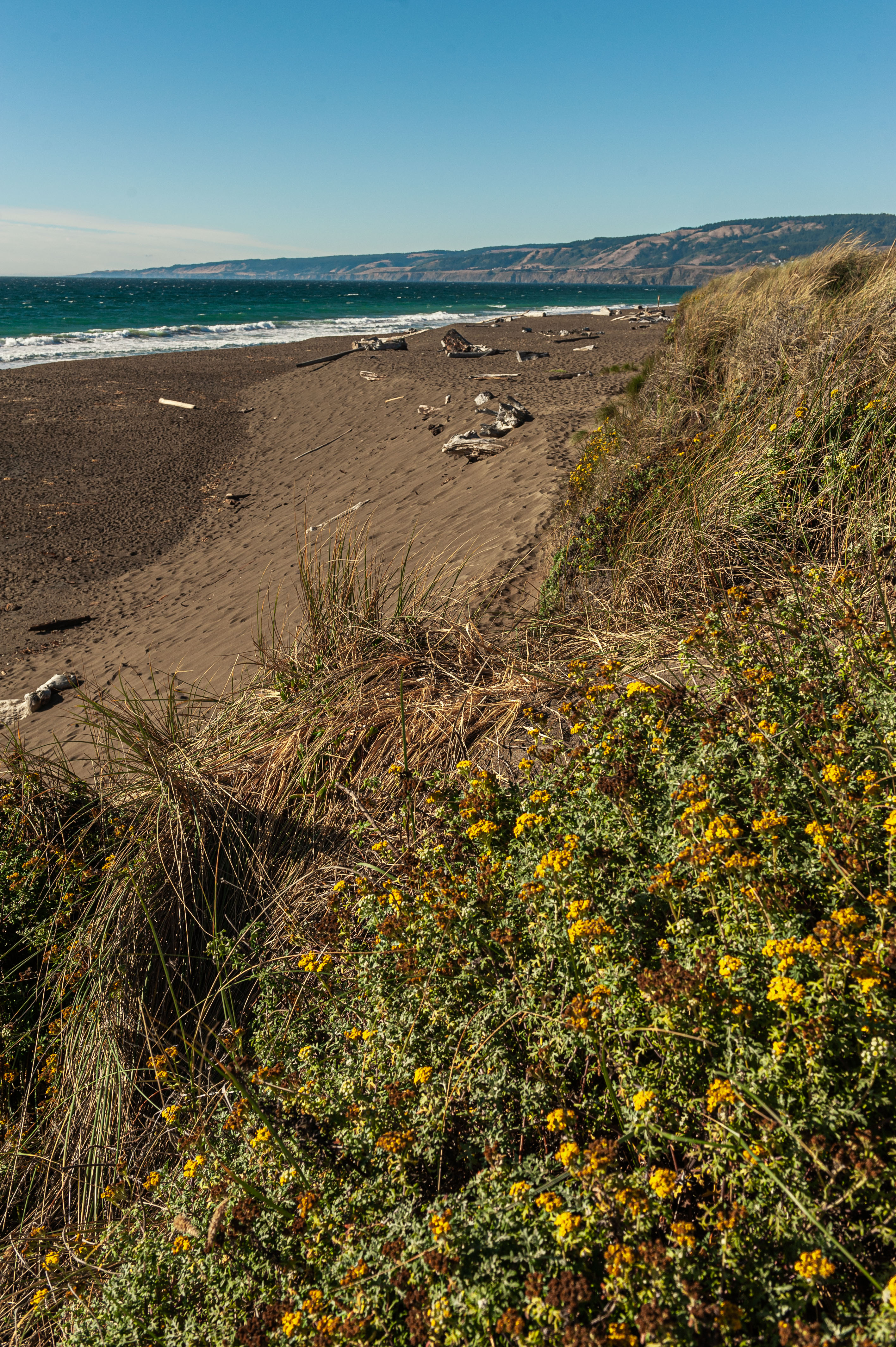 Manchester State Park Campground