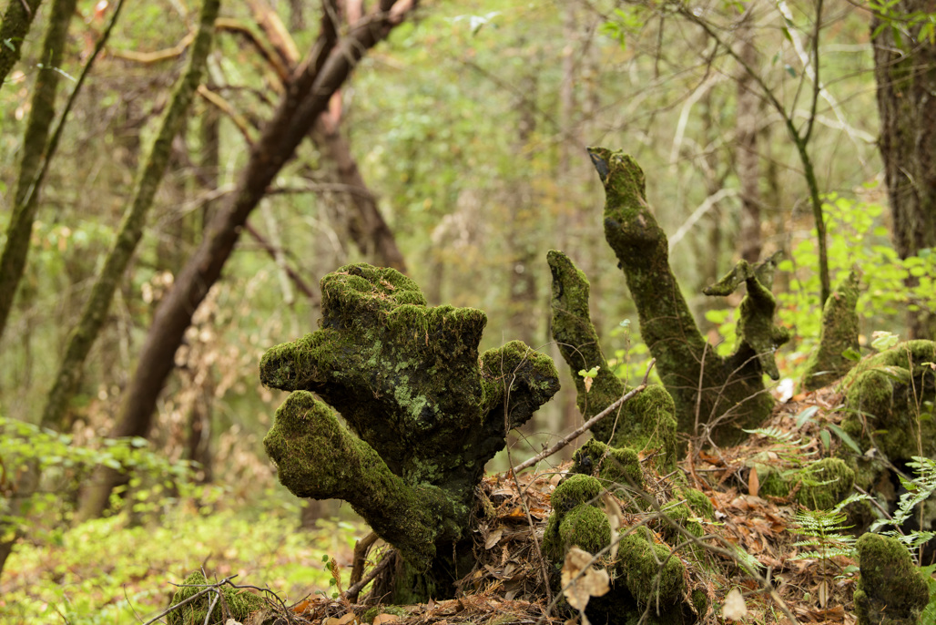 California State Parks