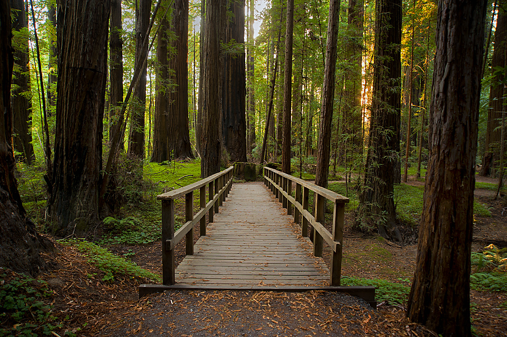 California State Parks