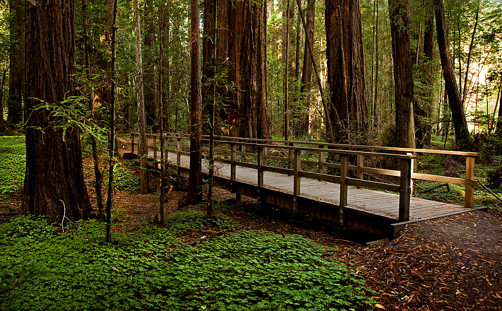 California State Parks