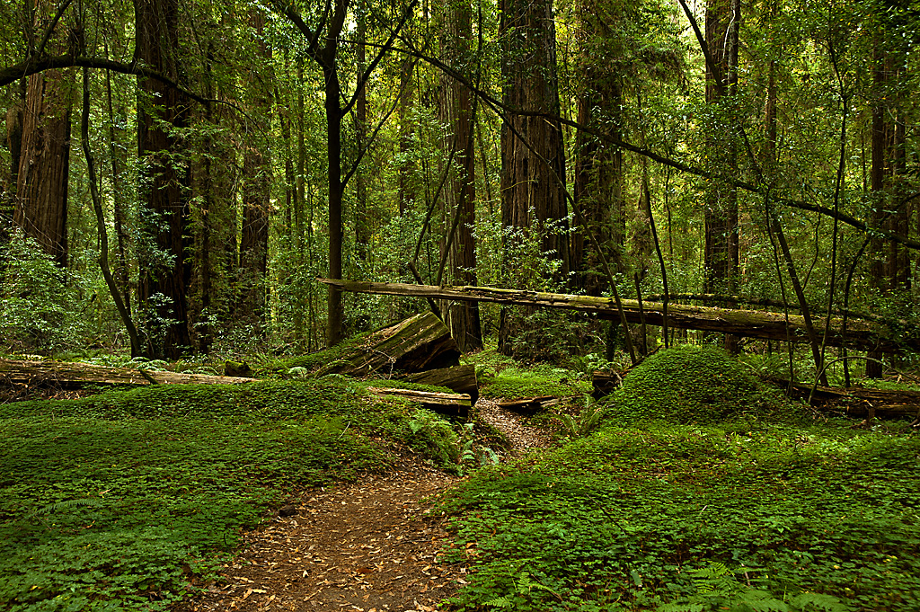 California State Parks