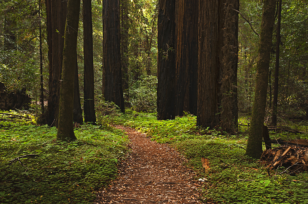 California State Parks