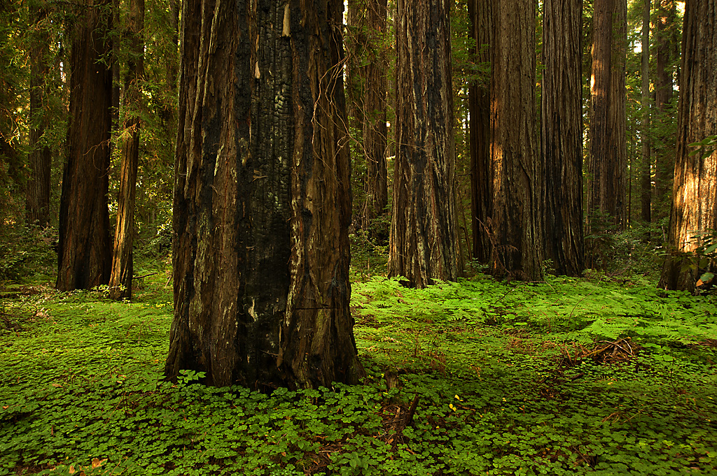 California State Parks