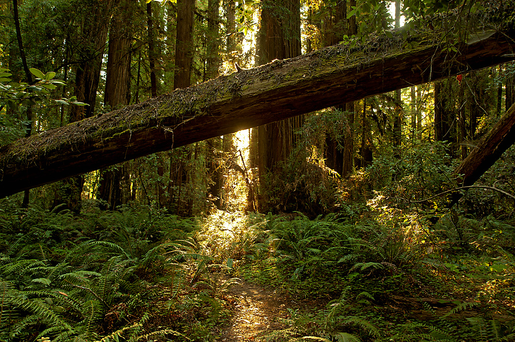 California State Parks