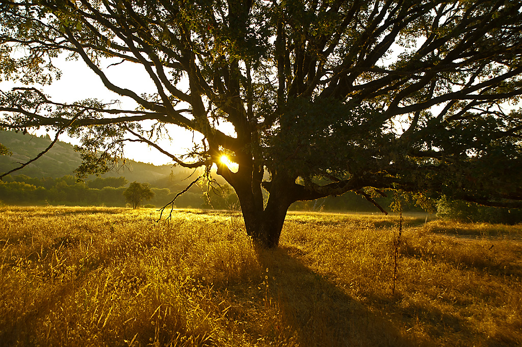 California State Parks