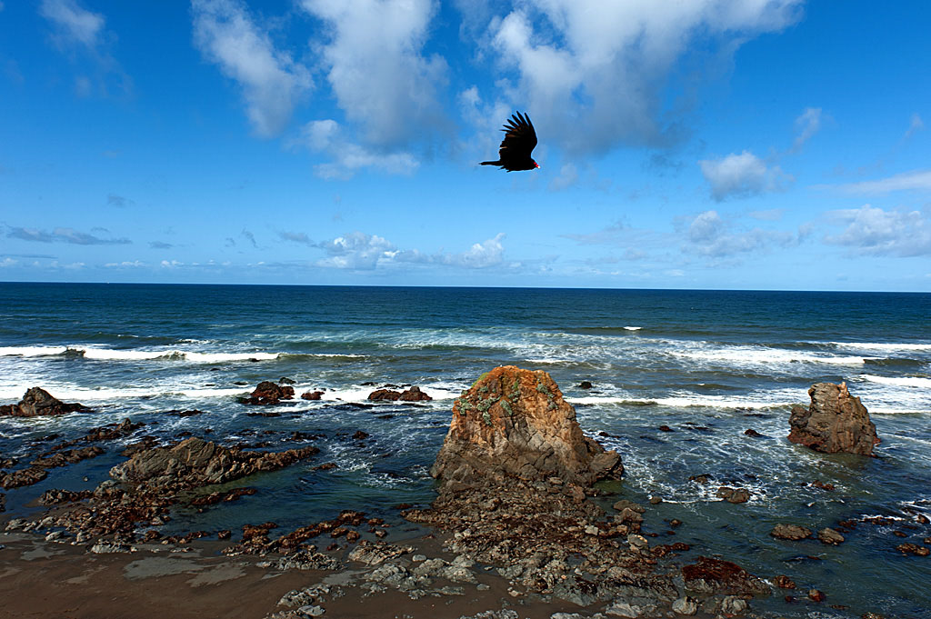 Westport Union Landing Howard Creek South Campground