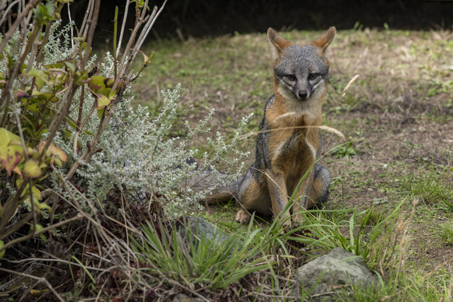 California State Parks