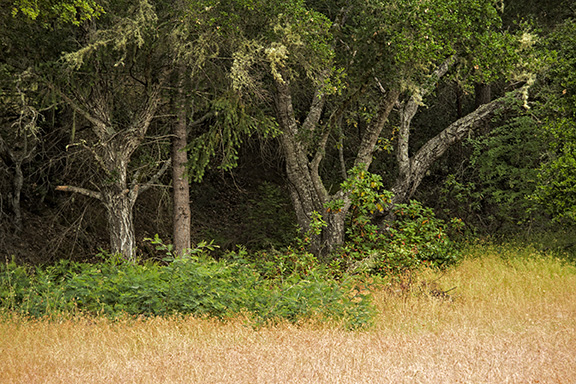 California State Parks