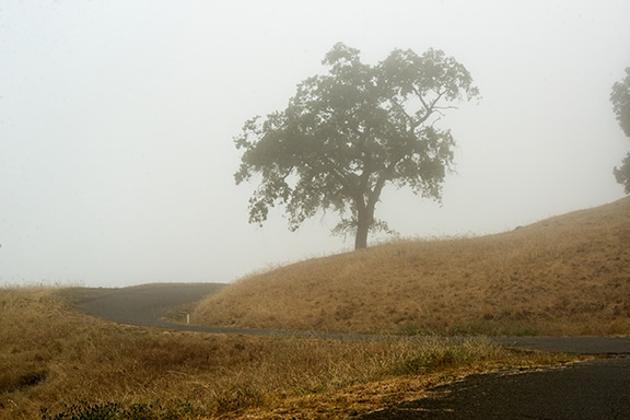 California State Parks