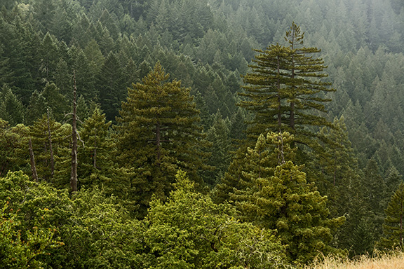 California State Parks