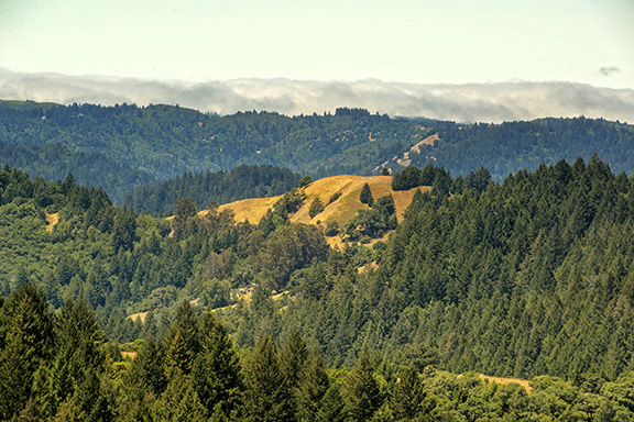 California State Parks