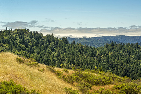 California State Parks