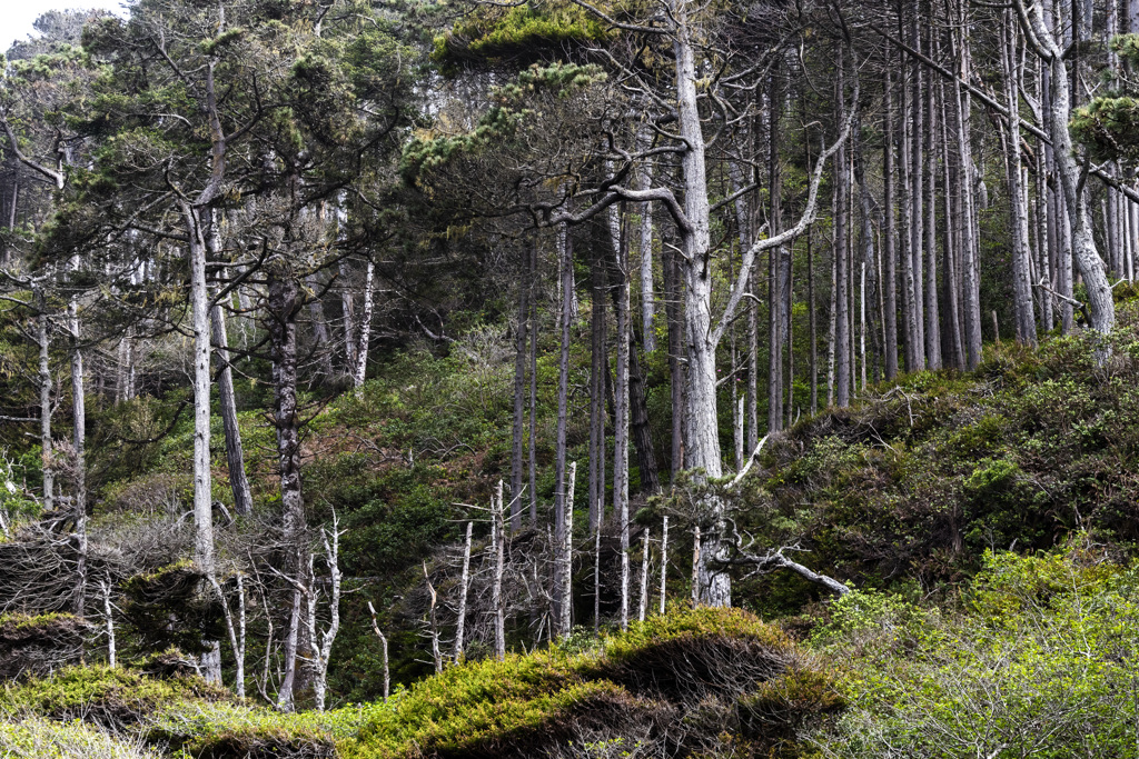 California State Parks