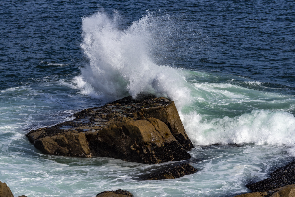 California State Parks
