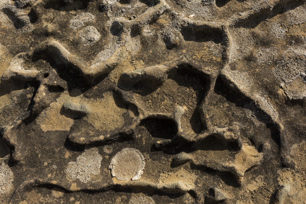 California State Parks