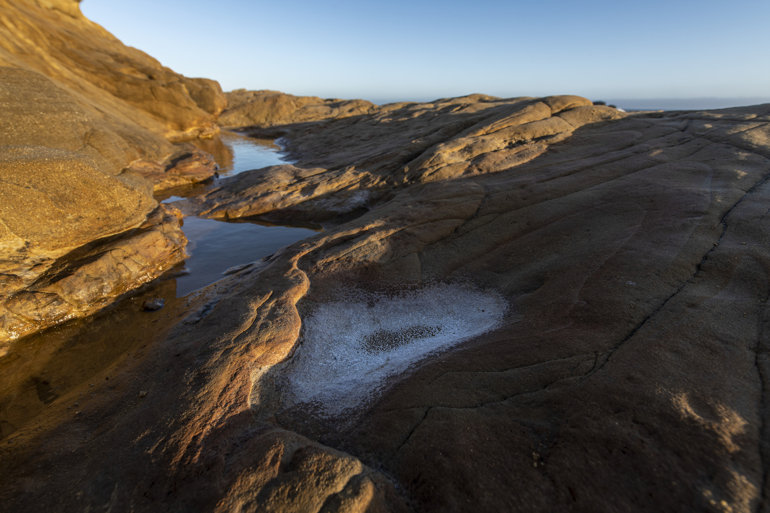 California State Parks