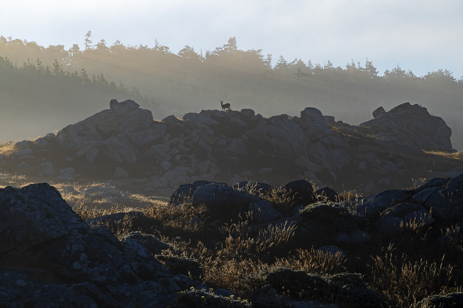 California State Parks