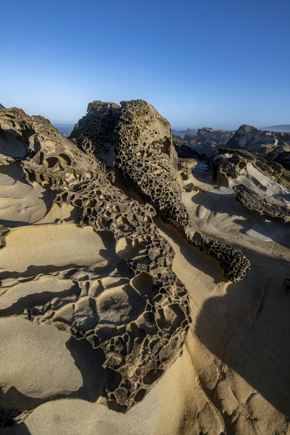 California State Parks