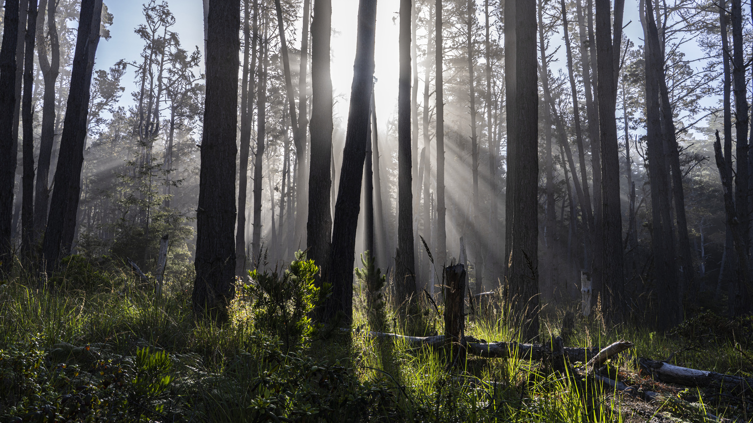 California State Parks