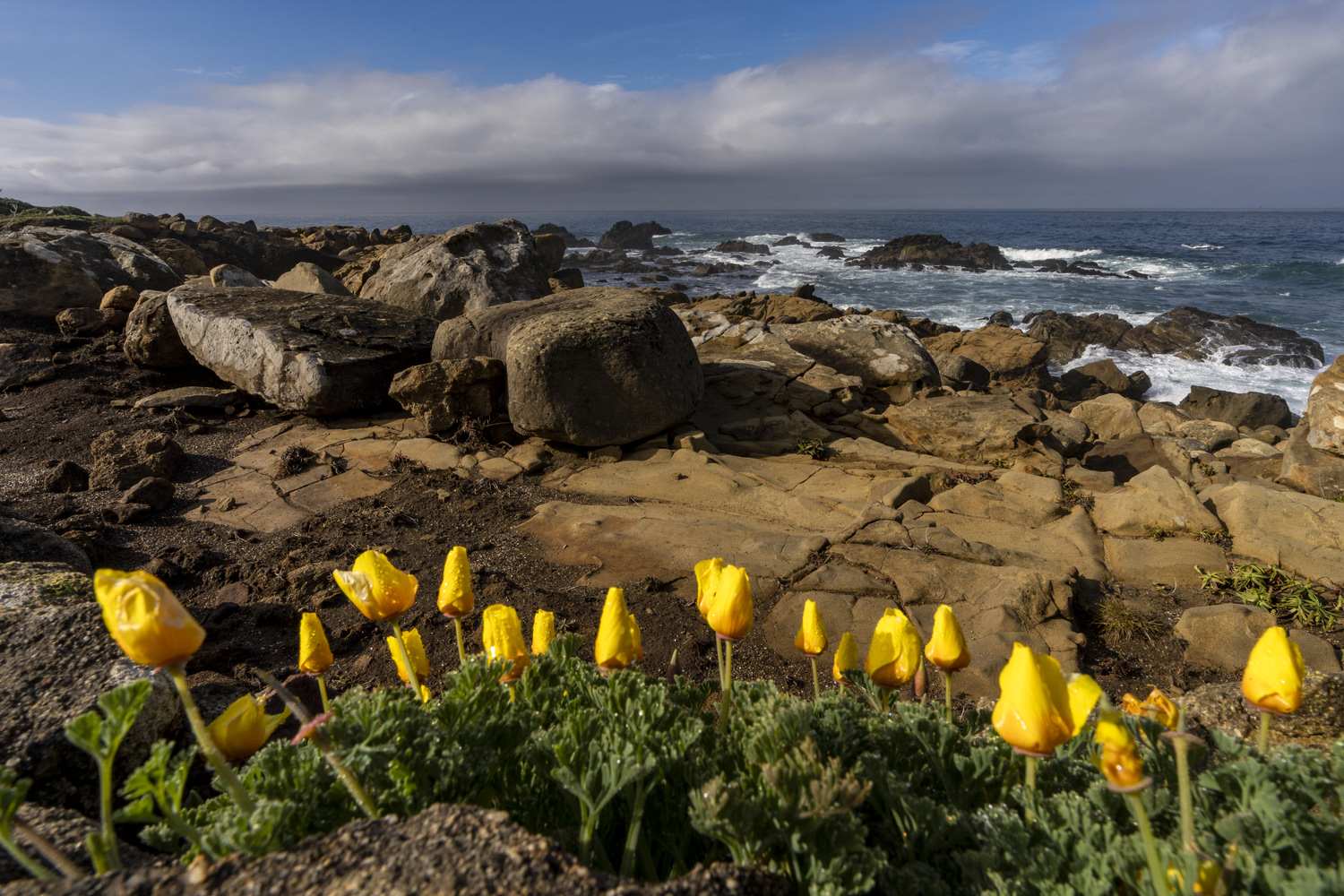 California State Parks