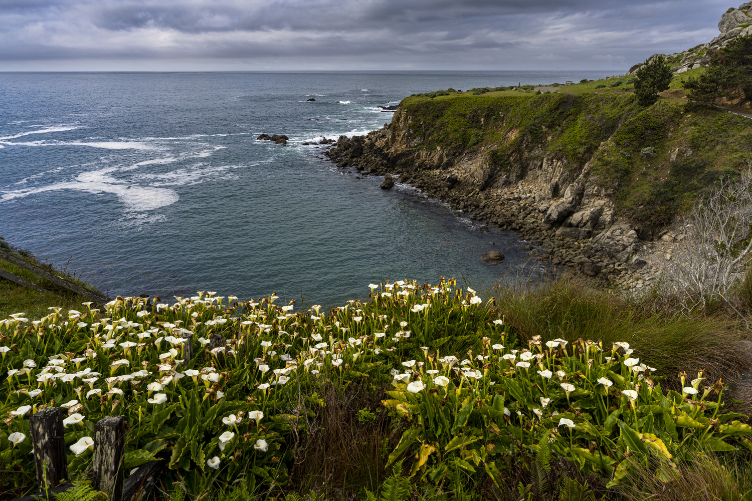 California State Parks