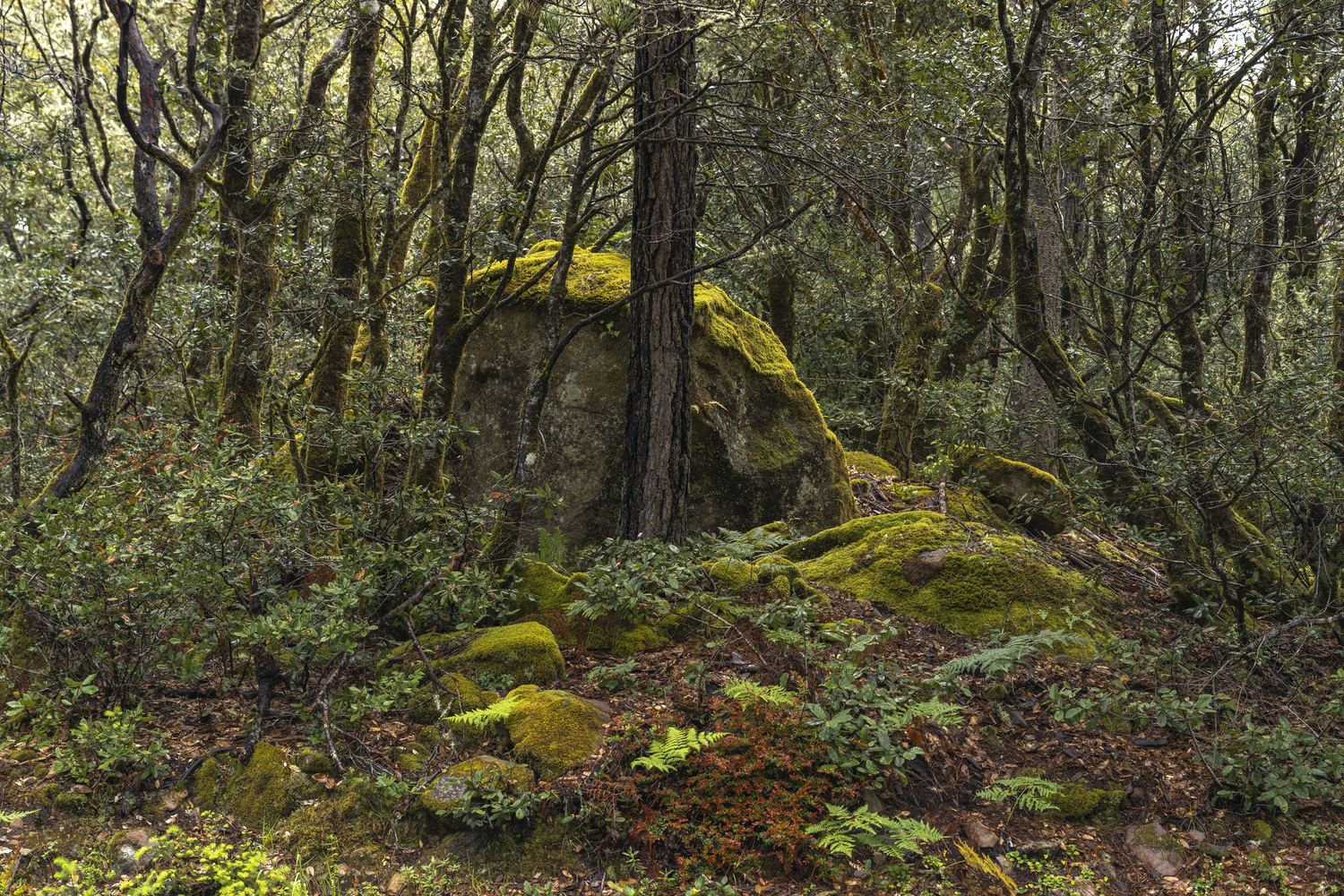California State Parks