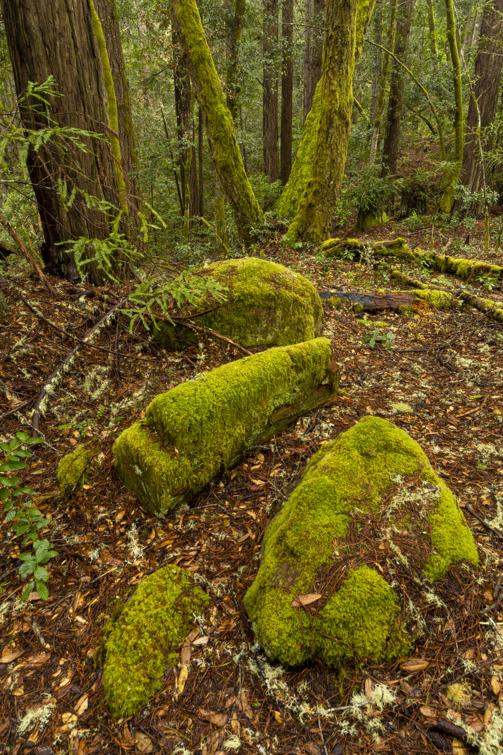 California State Parks